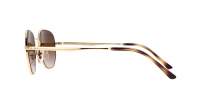 Ray-Ban RB3682 001/13 51-20 Arista Gold Mittel Gradient Gläser