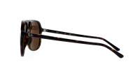 Ray-Ban Bill RB2198 902/57 60-14 Havana