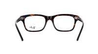 Ray-Ban Mr burbank RX5383 RB5383 2012 52-19 Havana