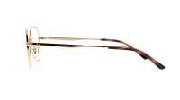 Ray-Ban RX3682V RB3682V 2500 51-19 Oro