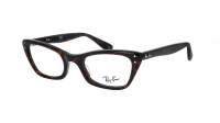 Ray-Ban Lady burbank RX5499 RB5499 2012 49-20 Tartaruga