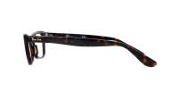 Ray-Ban Lady burbank RX5499 RB5499 2012 49-20 Tartaruga