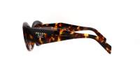 Prada Symbole PR 07YS VAU6S1 53-19 Tartaruga