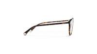 CHANEL Signature CH3413 C714 51-19 Ecaille