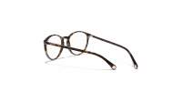 CHANEL Signature CH3413 C714 53-19 Ecaille