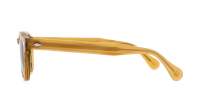 Moscot Lemtosh LEMTOSH SUN 49 BLONDE CALIBAR Écaille