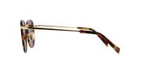 Maui Jim Noni H854-10 54-20 Tartaruga