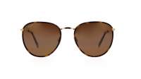 Maui Jim Noni H854-10 54-20 Tartaruga