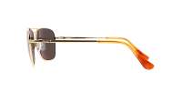 Randolph Intruder Gold 23k IR002 58-15 Oro
