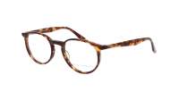 Barton Perreira NORTON BP5043/V 0LY 48-19 Tartaruga