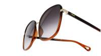 Chloé Franky Brown CH0031S 005 59-19 Large Gradient