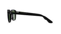 Moscot Billik BILLIK Sun 50 Matte Black Caliba Schwarz
