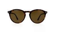 Tom Ford FT0904/S 52J 52-19 Tortoise Medium