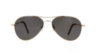 Randolph Amelia 23K Gold Gold Skyforce polarized AA015 57-16 Medium Polarized