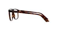 Gucci GG1035O 002 55-16 Havana