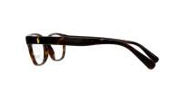 Polo Ralph Lauren PH2244 5003 52-16 Shiny Dark Havana