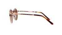 Ray-Ban New round RB3637 9202/33 50-21 Rose Gold