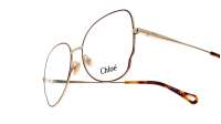 Chloé CH0098O 008 56-16 Tartaruga