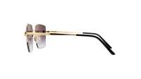 Cartier CT0333S 001 59-18 Oro