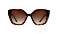 Prada PR 24XS 2AU-6S1 52-18 Tartaruga