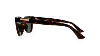 Gucci GG1116S 002 51-20 Tartaruga