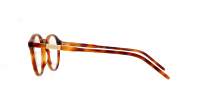 Gucci GG1160O 003 48-20 Tartaruga