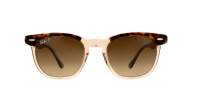 Ray-ban Hawkeye RB2298 1292/M2 50-21 