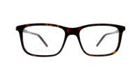 Gucci GG1159O 003 56-17 Havana