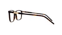 Gucci GG1159O 003 56-17 Havana