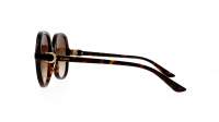 Cartier CT0350S 002 57-17 Havana