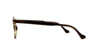 Gucci GG0738O 005 48-21 Havana
