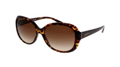 Giorgio Armani AR8047 502613 56-16 Havana Tortoise Breit Gradient Gläser