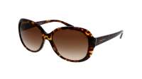 Giorgio Armani AR8047 502613 56-16 Havana Tortoise Breit Gradient Gläser