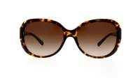 Giorgio Armani AR8047 502613 56-16 Havana Tortoise Large Gradient