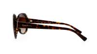 Giorgio Armani AR8047 502613 56-16 Havana Tortoise Large Gradient