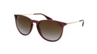 Ray-Ban Erika Transparent Dark Brown Brun RB4171 6593/T5 54-18 Medium Polarisés Dégradés
