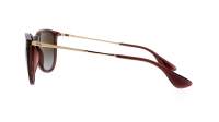 Ray-Ban Erika Transparent Dark Brown RB4171 6593/T5 54-18 Medium Polarized Gradient