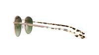Barton Perreira TUDOR BP0034/S 0TT 52-21 Oro