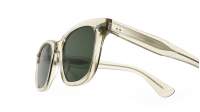 Garrett leight Calabar  2062 CH/SFPGN 49-23  Durchsichtig Champagne