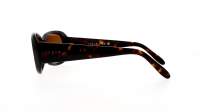 Vogue Eyewear VO2606S W656/13 55-15 Tortoise