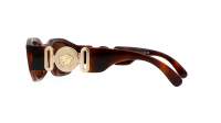 Versace Medusa biggie VE4361 5217/73 53-18 Tartaruga