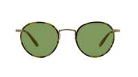 Garrett Leight Wilson 4003 TT-AH/PGN 49-22 Ambre