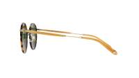 Garrett Leight Wilson 4003 TT-AH/PGN 49-22 Ambre