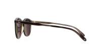 Garrett leight Kinney  2007 GITL/G PLR 49-22  Durchsichtig G.I. tortoise