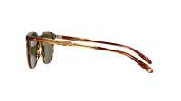 Garrett leight Kinney  2007 CN/SFPGN 49-22  Tortoise Chestnut