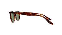 Barton Perreira NORTON 007 Tortoise BP0068/S 2JO 50-21 Large