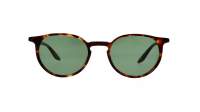 Barton Perreira NORTON 007 Tortoise BP0068/S 2JO 50-21 Large