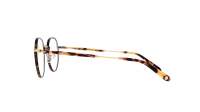 Garrett Leight Robson w 3056 BBT-ATG-MDKT 47-24 Tartaruga