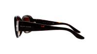 Polo Ralph Lauren RL8127B 500313 55-16 Shiny Dark Havana