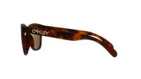 Oakley Frogskins OO9013 C5 55-17 Matte brown tortoise